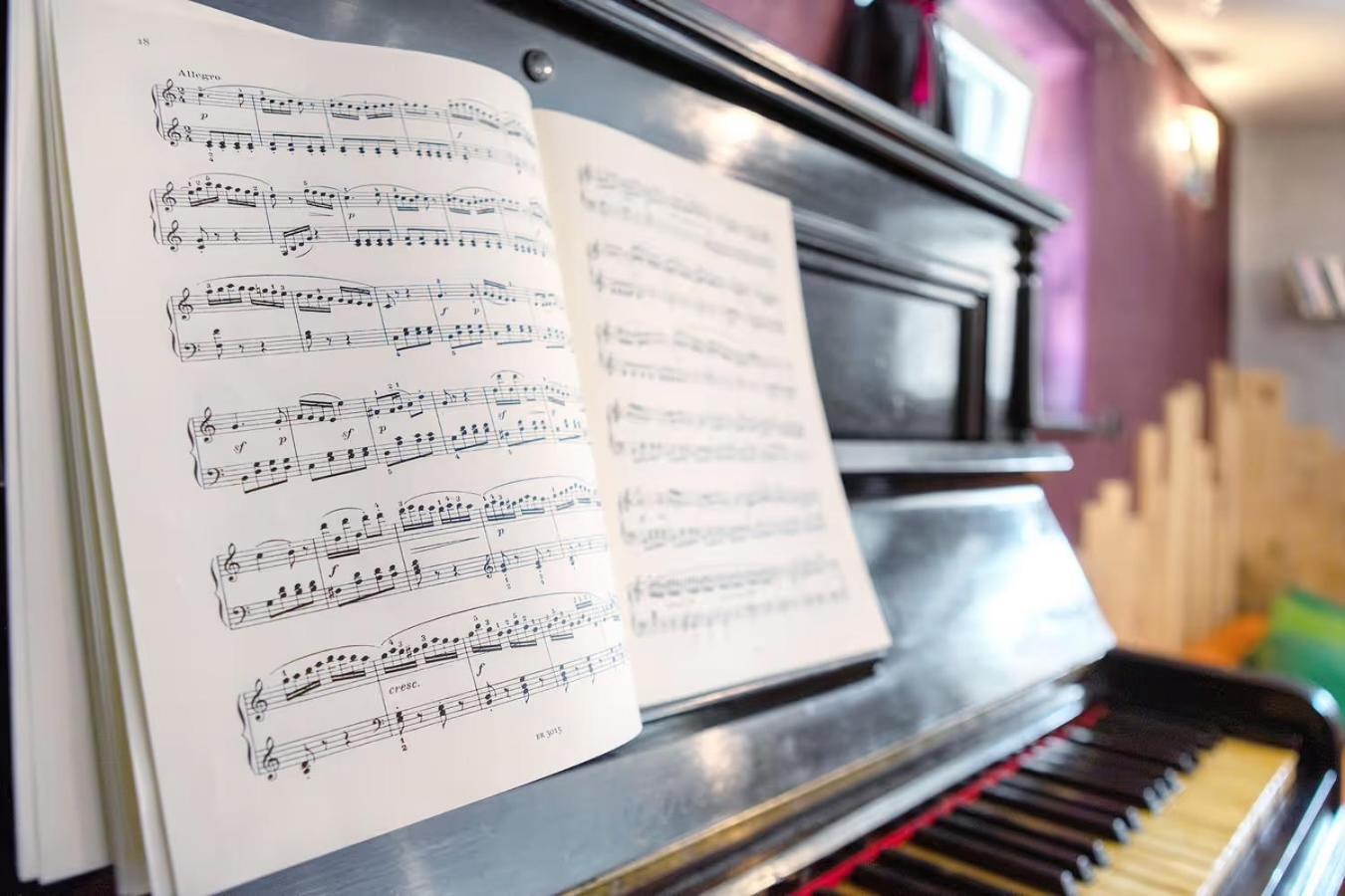 Maison De La Musique Конье Экстерьер фото